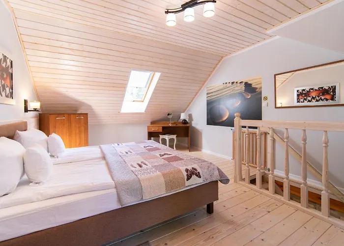 Domki Wiking Dziwnowek